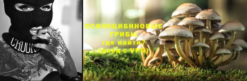 Псилоцибиновые грибы MAGIC MUSHROOMS  купить наркоту  Апатиты 